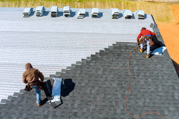 Best Local Roofing Companies  in Woodhaven, MI