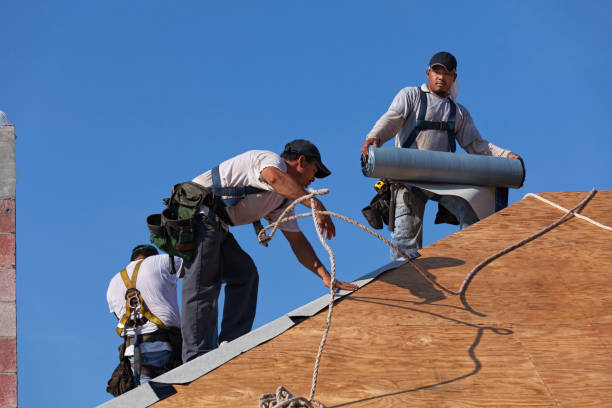 Best Roofing Contractor Near Me  in Woodhaven, MI