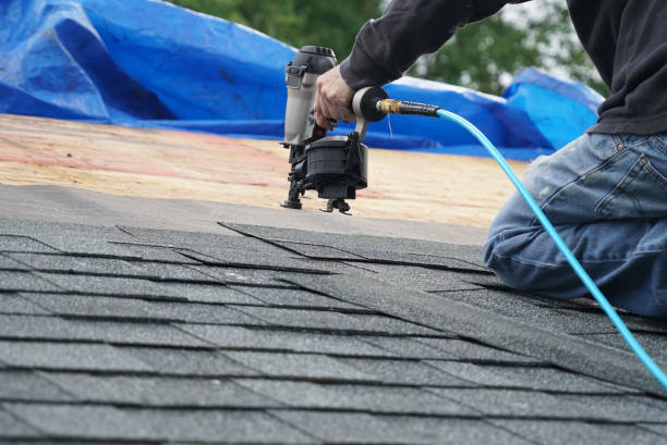 Best Roof Maintenance Services  in Woodhaven, MI